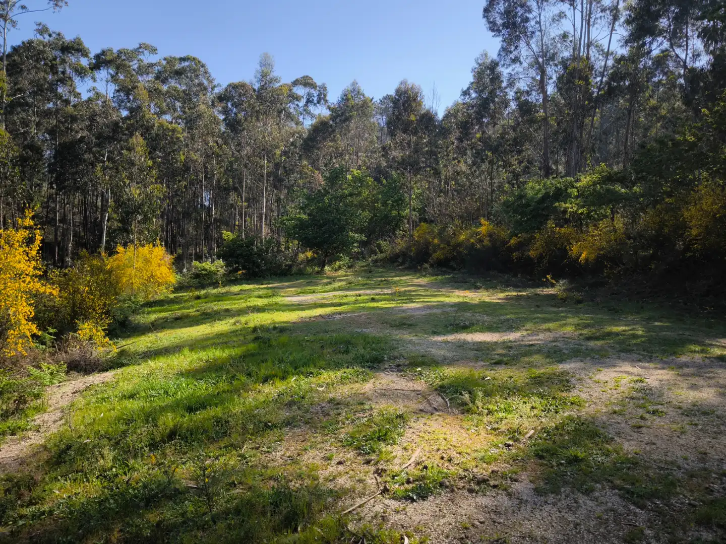 Terreno rustico in vendita a Cea, imagen 10