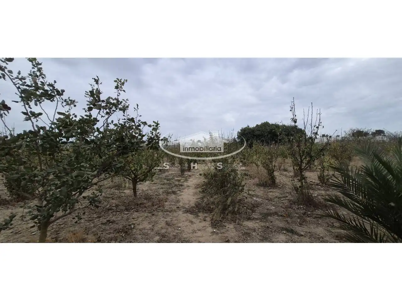 Terreno rustico in vendita a Calle Real de Chapitel, imagen 19