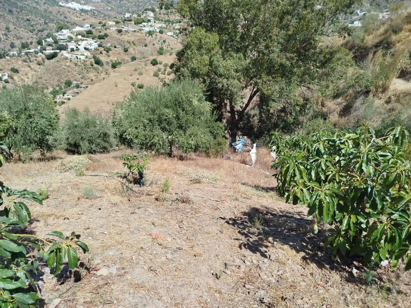 Terreni e lotti in vendita a Este, imagen 28