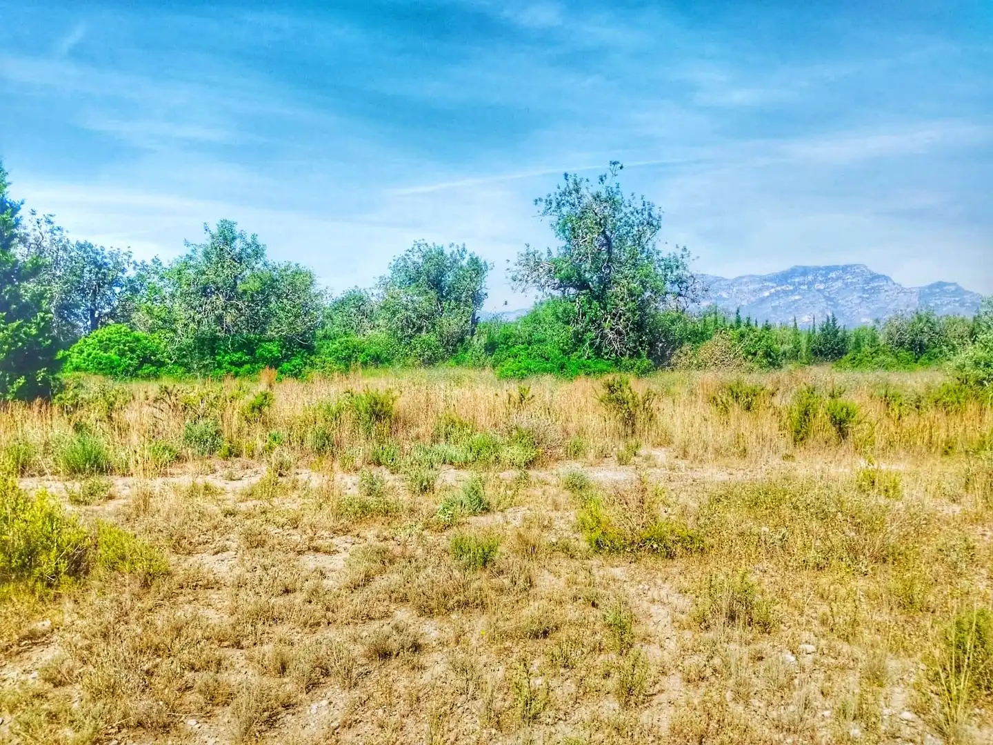 Terrain rustique à vendre à Roquetes, imagen 18