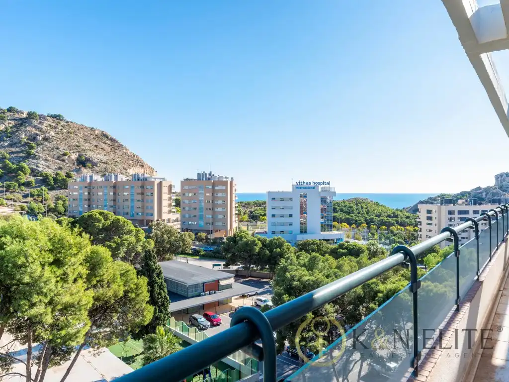 Vista exterior de Àtic en venda en Alicante / Alacant amb Aire condicionat, Jardí privat i Terrassa