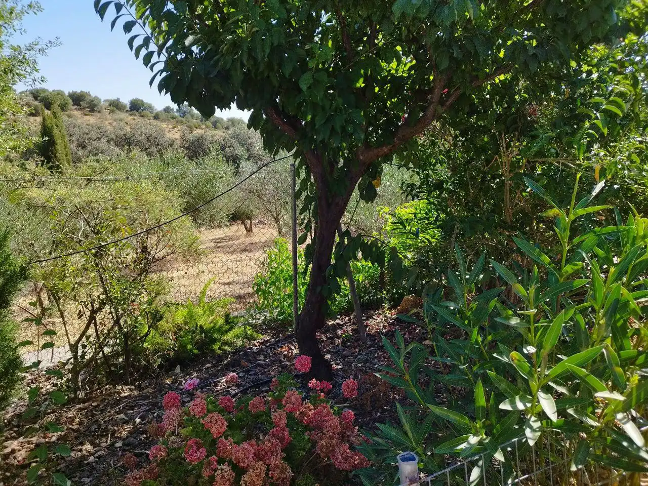 Detached house with garden for sale in El Castillo de las Guardas, imagen 3
