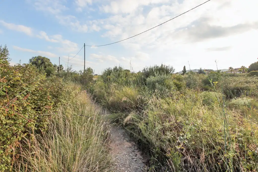 Terrain rustique à vendre à Plan Parcial Masíes Catalanes, imagen 16