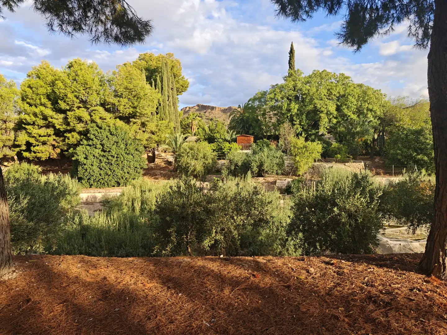Villa avec piscine à vendre à Totana, imagen 48