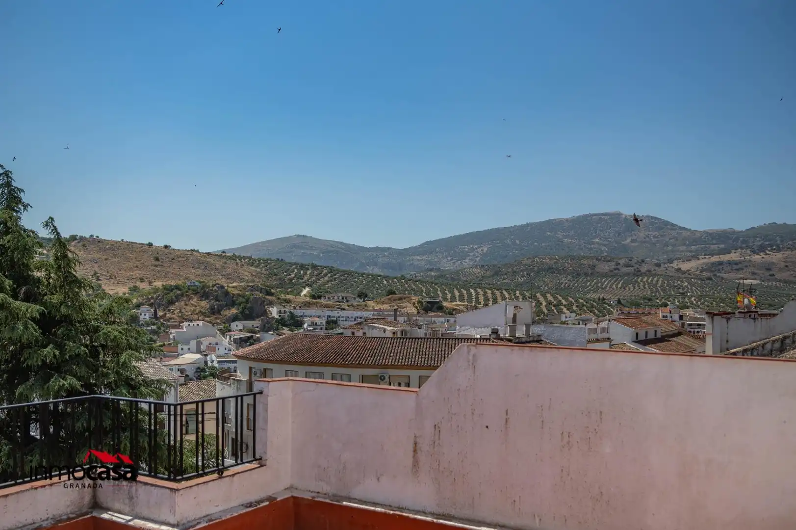 Vista exterior de Casa o xalet en venda en Luque