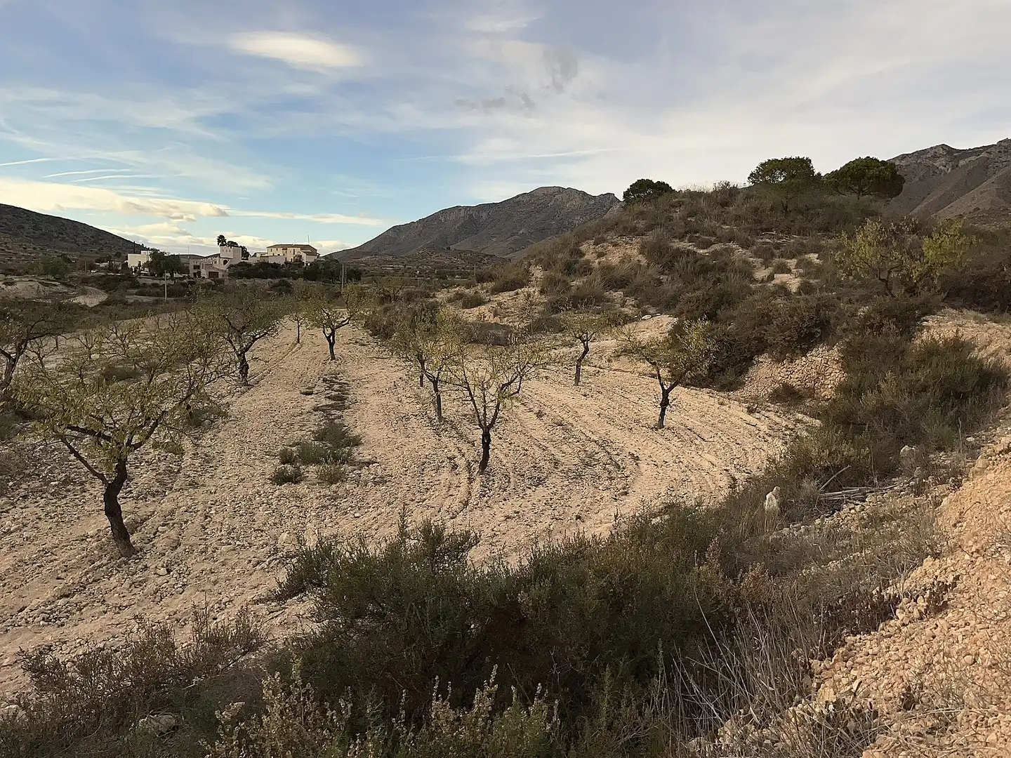 Landhaus zum Verkauf in Hondón de las Nieves / El Fondó de les Neus, imagen 2