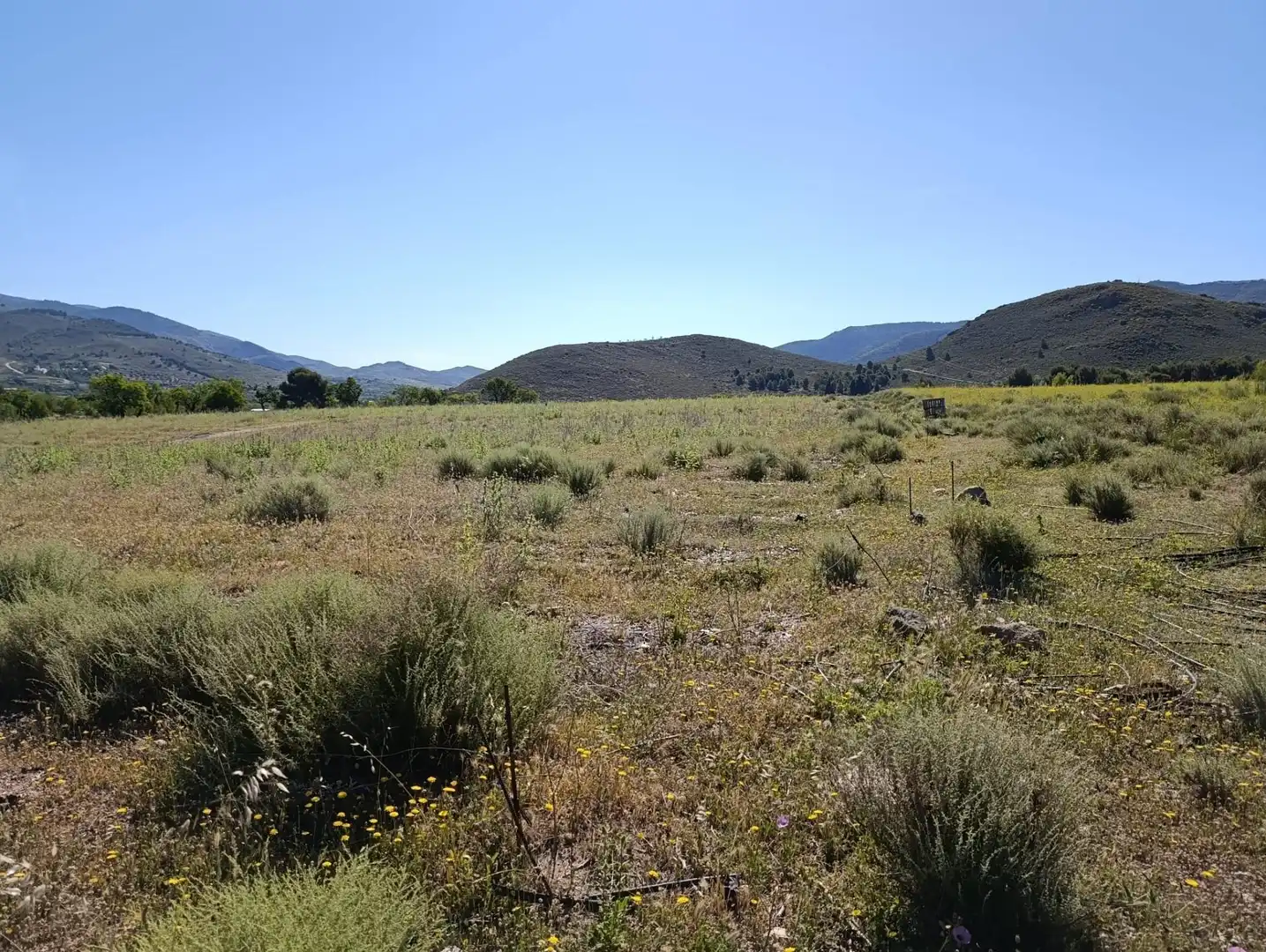 Rural land for sale in Laujar de Andarax, imagen 21