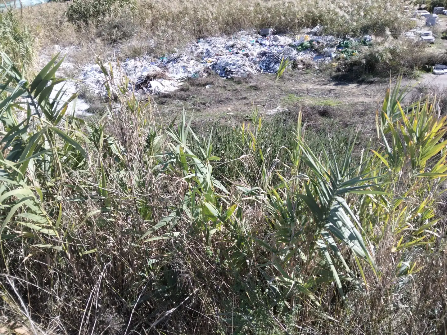 Terreny industrial en venda en Albaida del Aljarafe
