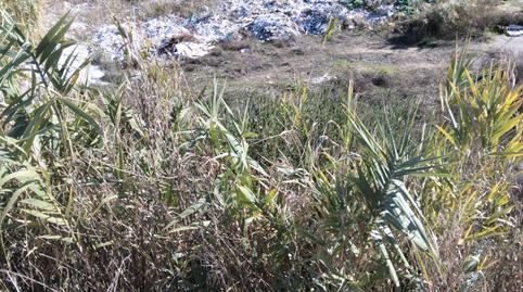 Foto 4 de Terreny industrial en venda a Albaida del Aljarafe, Sevilla