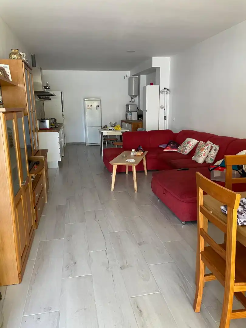 Living room of Houses for rent in Málaga  with Private garden, Terrace and Furnished
