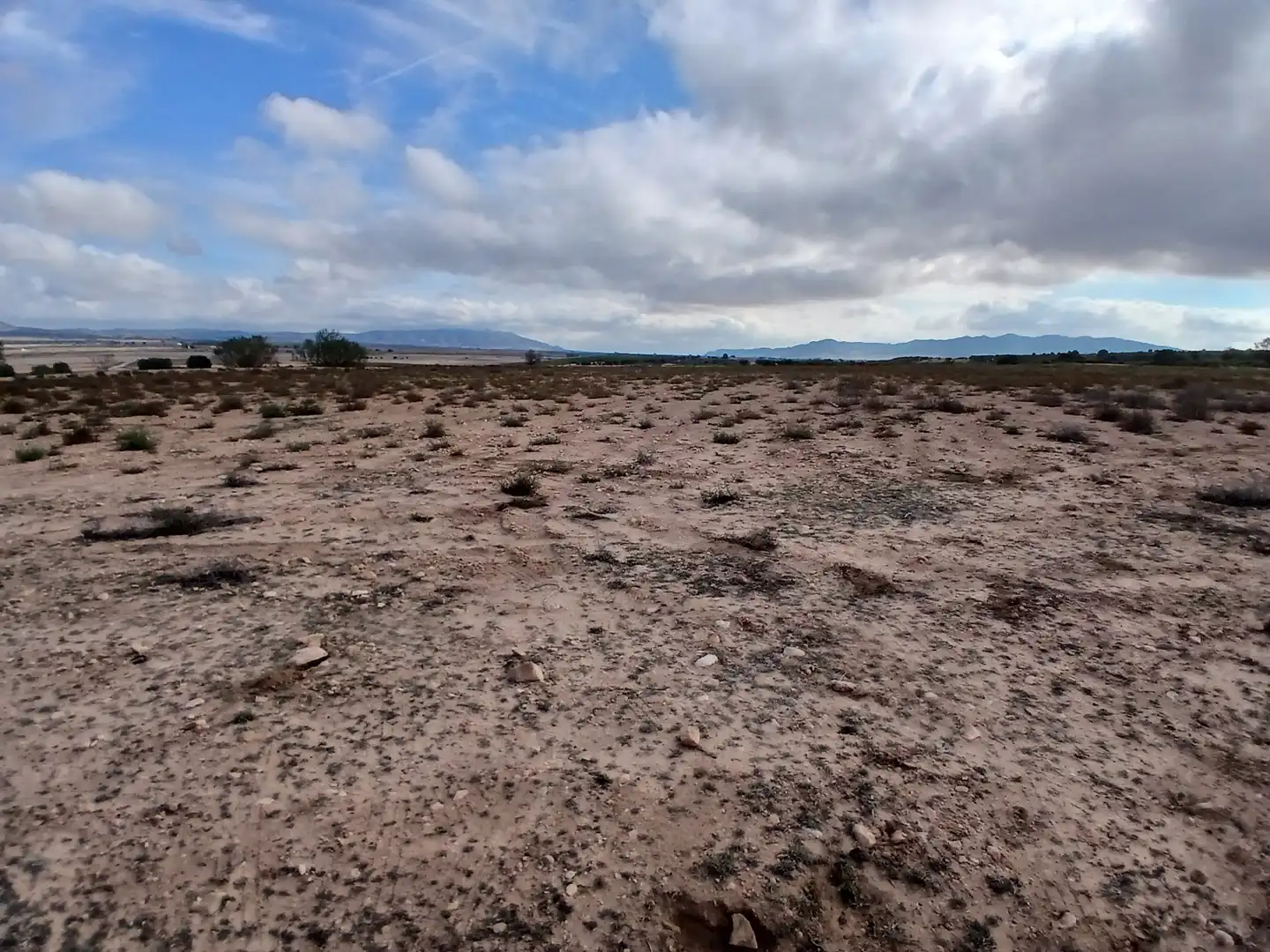 Residential land for sale in Yecla, imagen 19