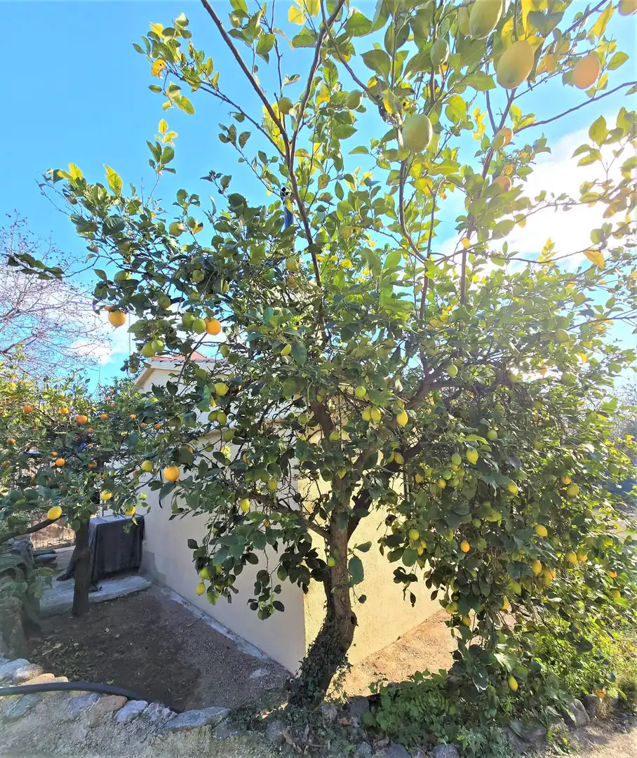 Garten von Residential zum Verkauf in L'Aleixar