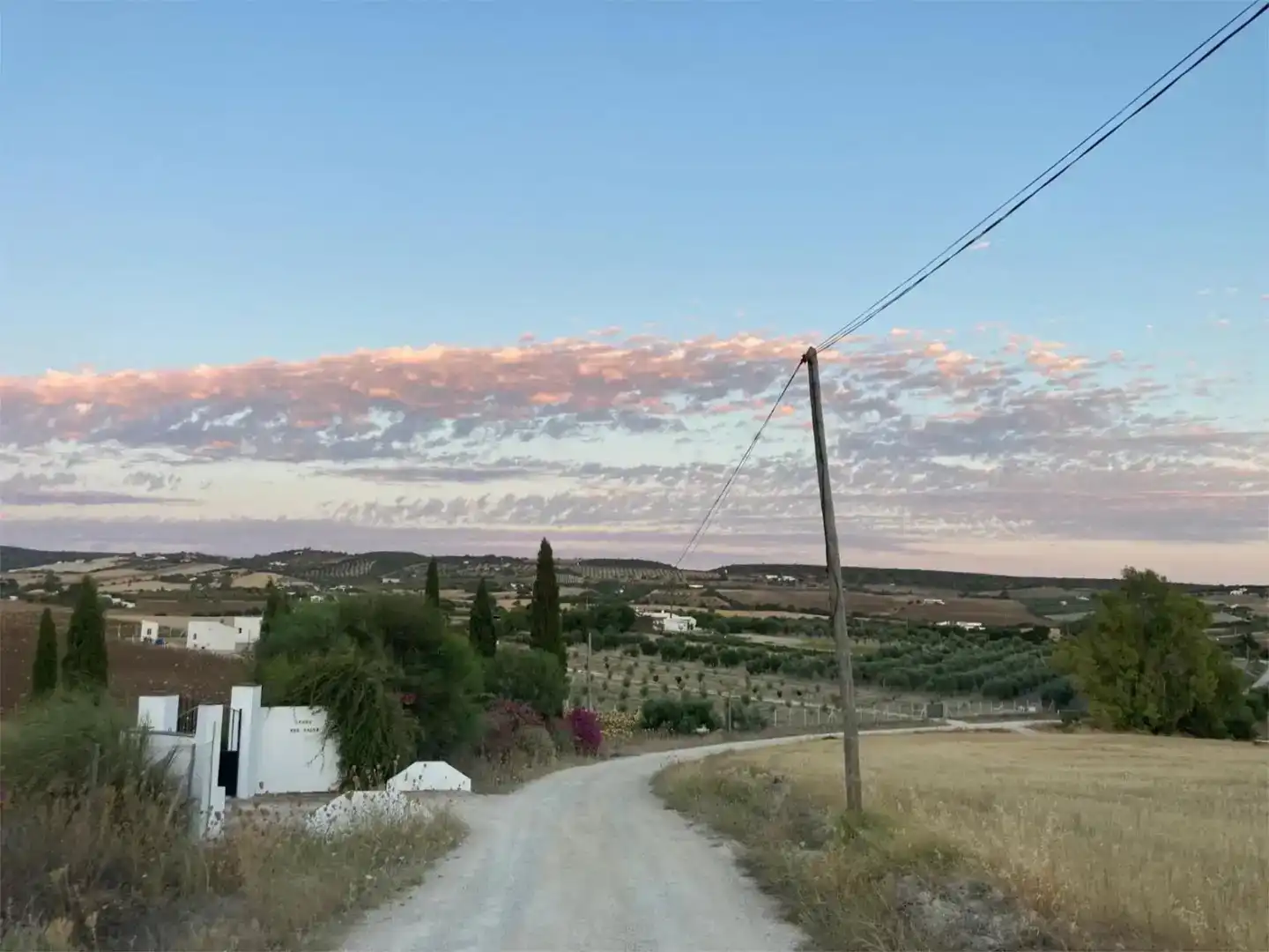 Vista exterior de Finca rústica en venda en Arcos de la Frontera amb Aire condicionat i Piscina