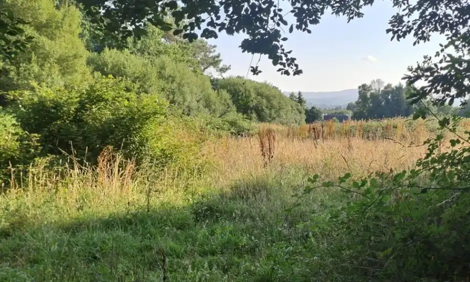 Residential for sale in Cambre 