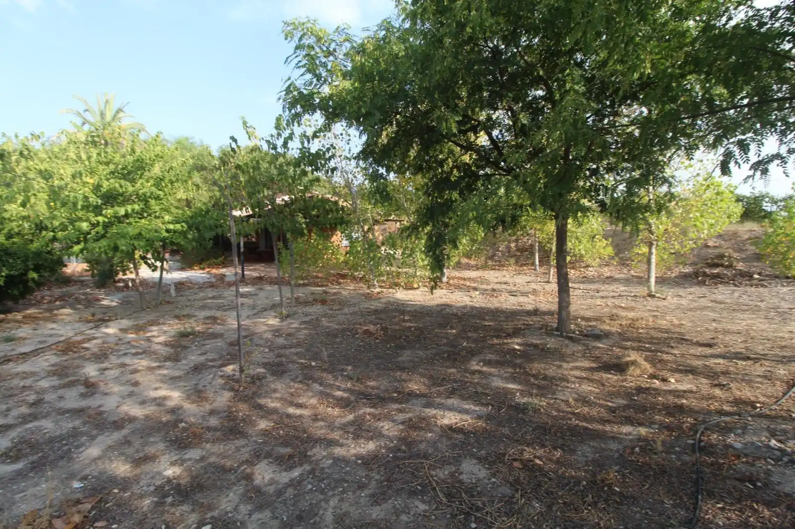 Casa o xalet en venda en Mula