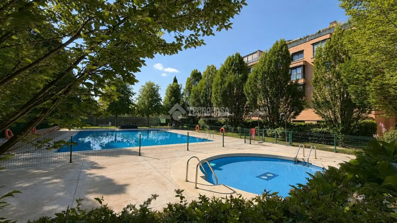 Swimming pool of Flat for sale in Madrid  with Air Conditioner and Community pool