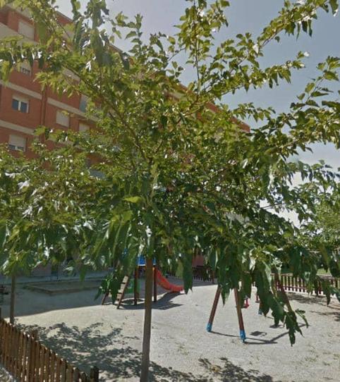 Foto 2 von Abstellraum zum Verkauf in Alcalde Porqueres, Balàfia,  Lleida Capital