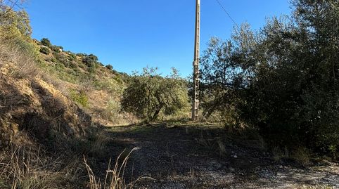 Foto 4 de Casa o xalet en venda a Calle Camino de Solano, Colmenar, Málaga