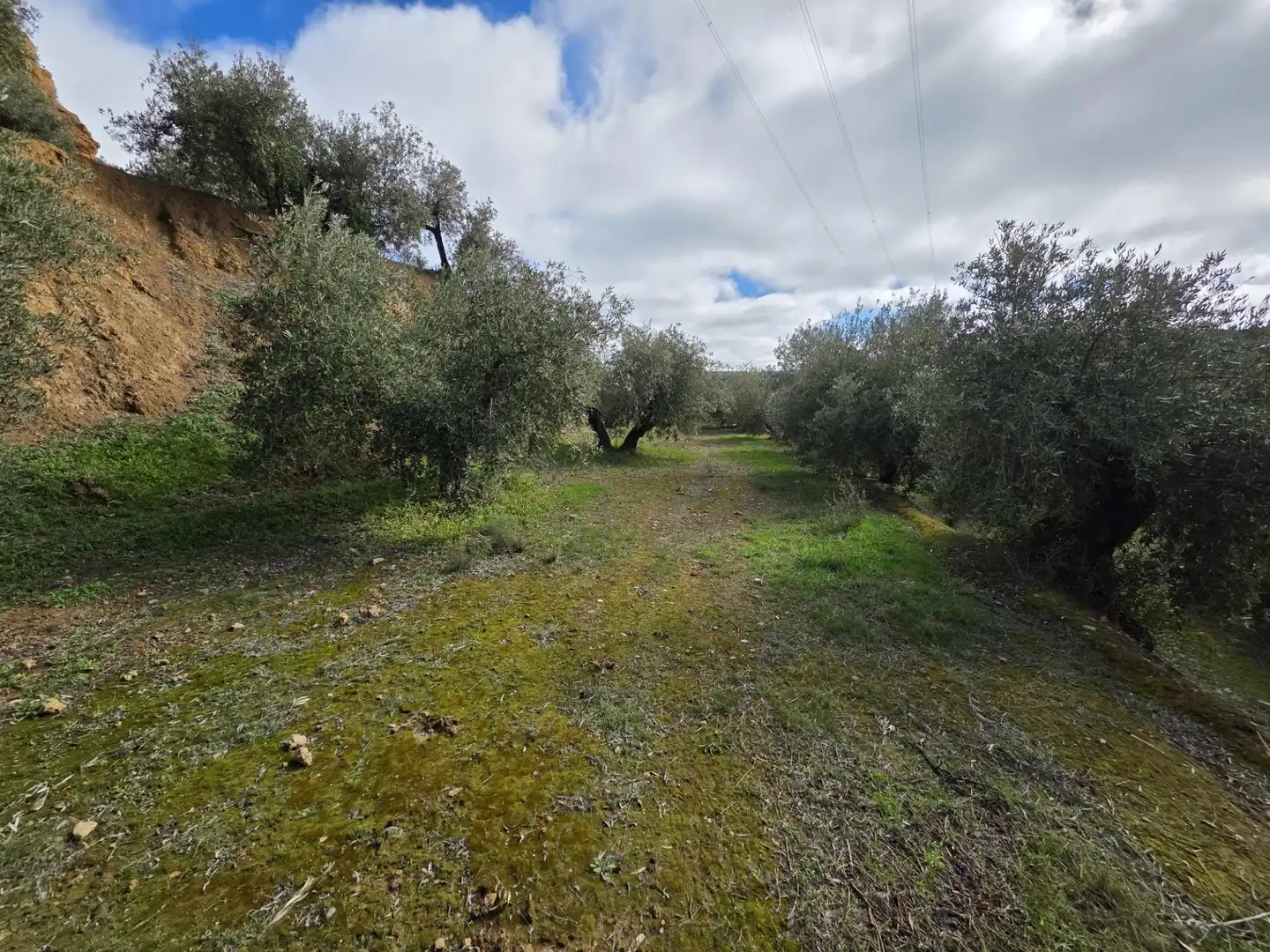 Rustikales Grundstück zum Verkauf in Cortes y Graena, imagen 6