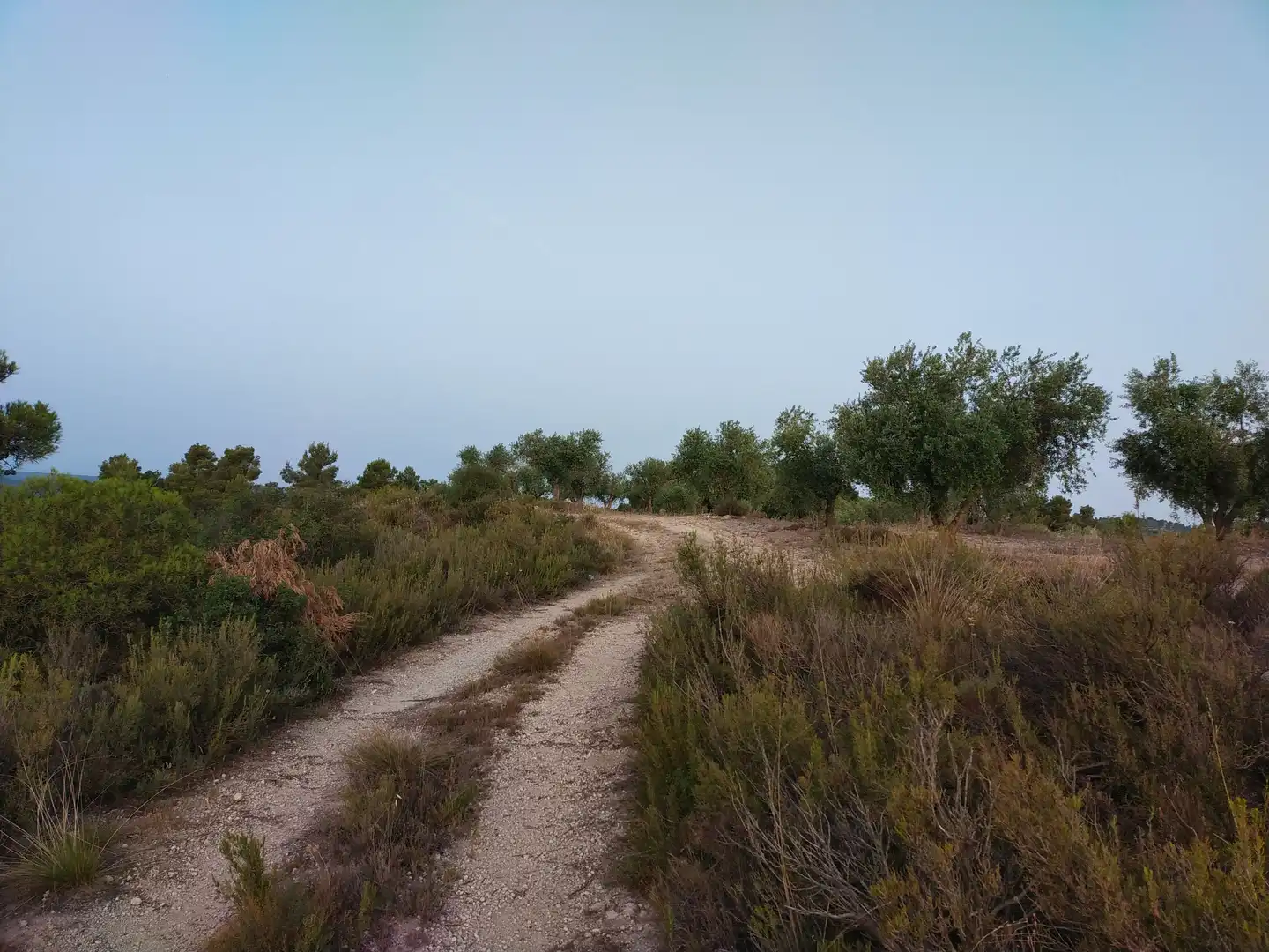 Terreno rústico en venta en Cervià de Les Garrigues, imagen 17