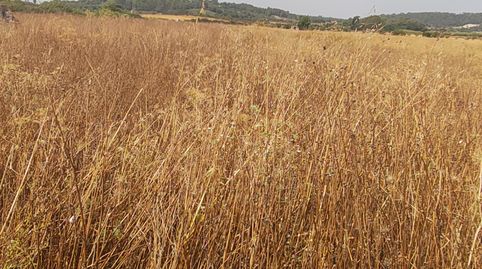 Finca rústica con dos pozos escriturados en Sant Joan, immagine 3