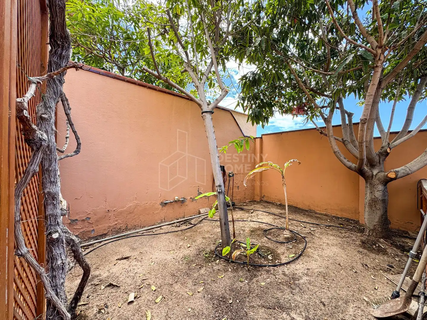 Casa o xalet en venda en Pájara amb Jardí privat i Moblat