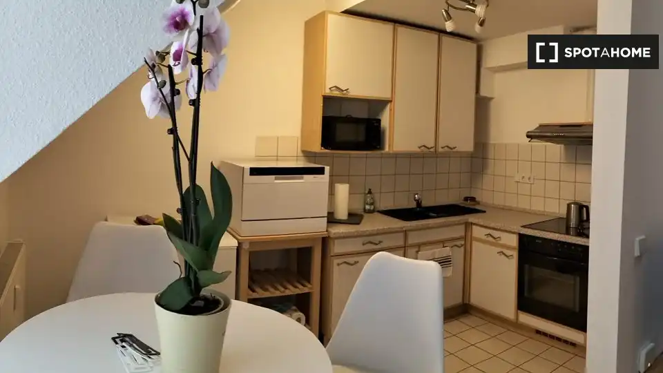 Cuina de Apartament per a compartir en Huete amb Aire condicionat, Terrassa i Moblat