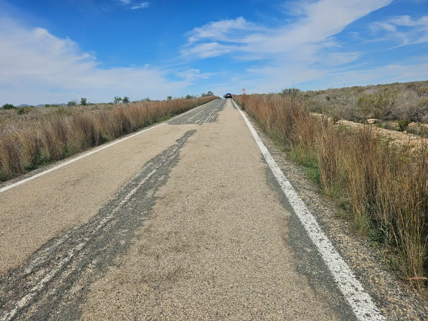 Lands and plots for sale in Mula, imagen 2