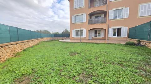 Photo 5 of Planta baja for sale in Sa Torre, Illes Balears