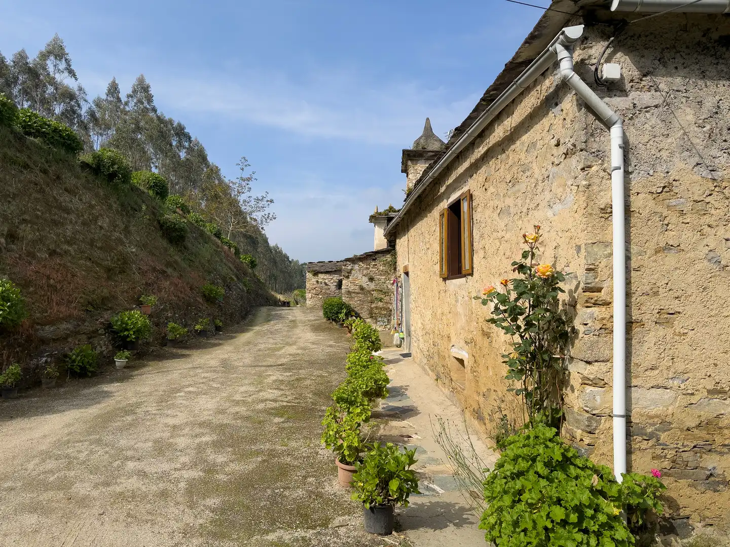 Casa rústica en venda a Mondoñedo, imagen 2