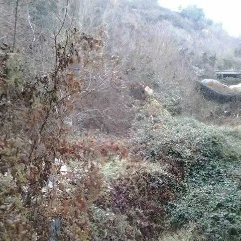 Rustikales Grundstück zum Verkauf in CR CL. DE LA SEU D'URGELL, imagen 3