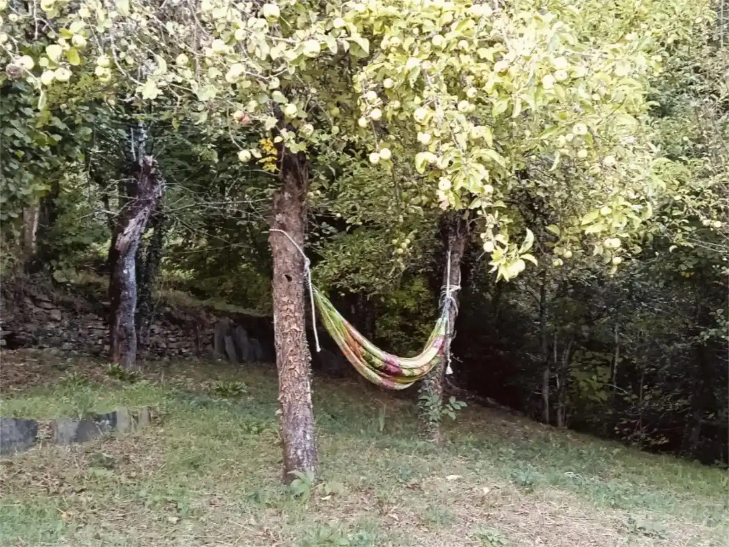 Jardí de Finca rústica en venda en Folgoso do Courel amb Jardí privat, Traster i Moblat