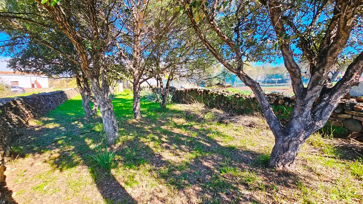 Casa o xalet en venda en Almonaster la Real amb Jardí privat, Terrassa i Traster