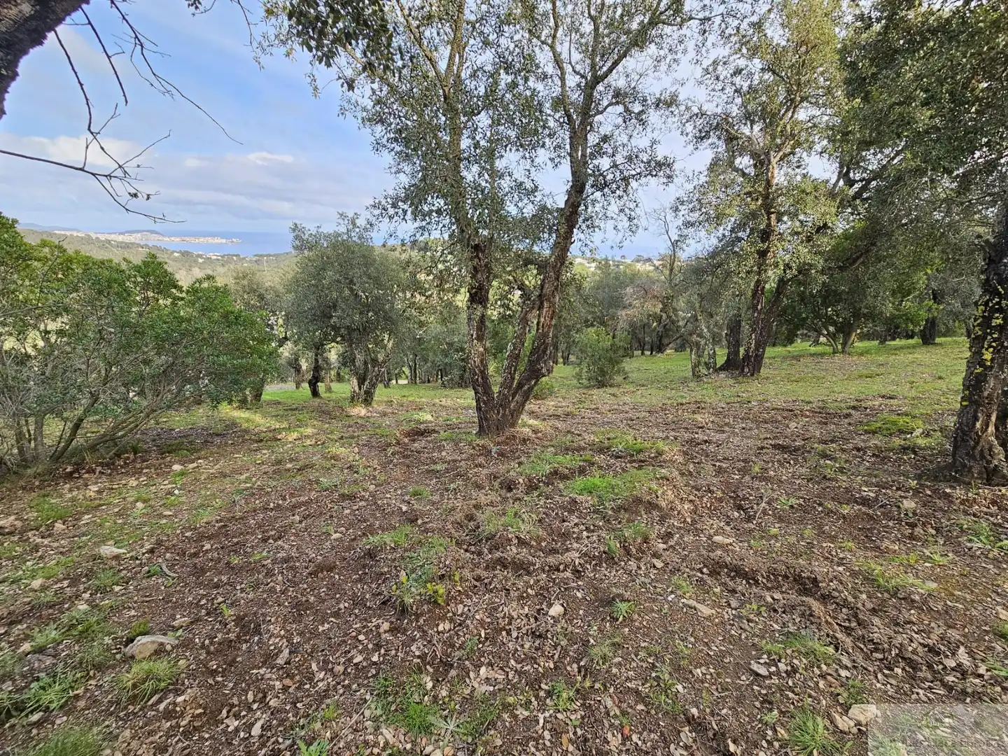 Terreno residenziale in vendita a Platja d'Aro, imagen 4