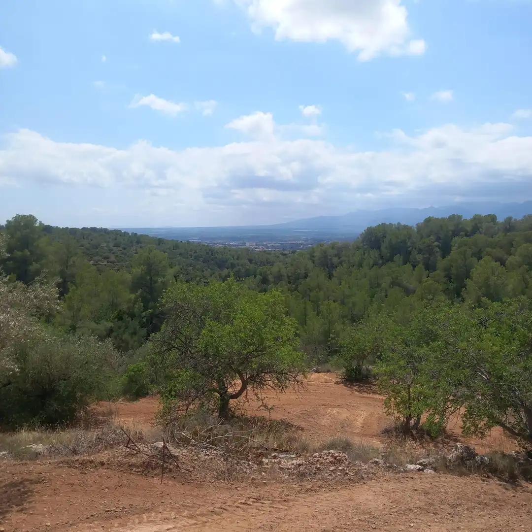 Terrain rustique à vendre à Bítem, imagen 12