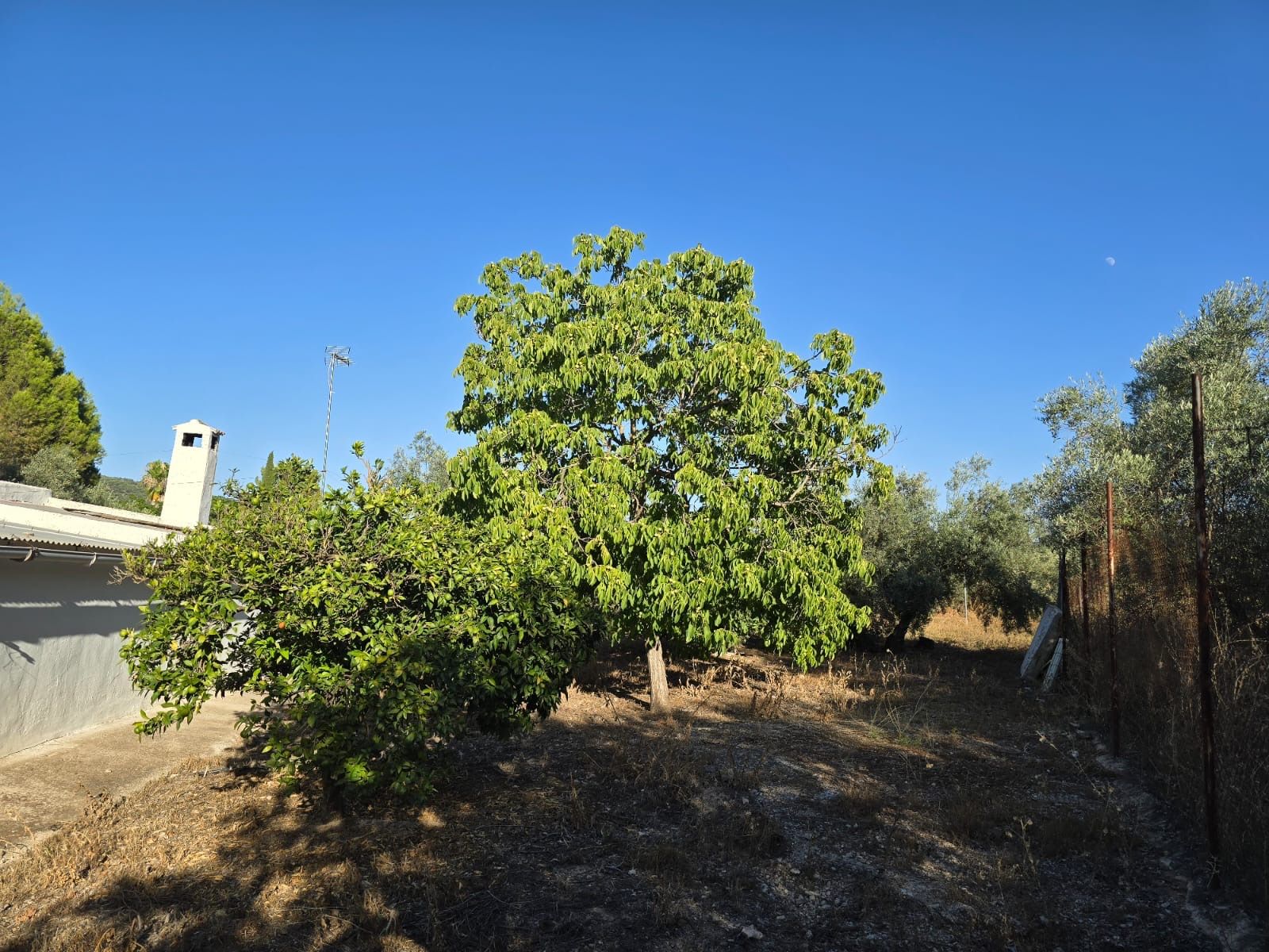 House or chalet for sale in Lucena