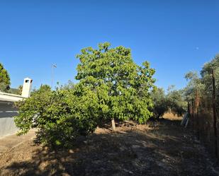 Casa o xalet en venda en Lucena