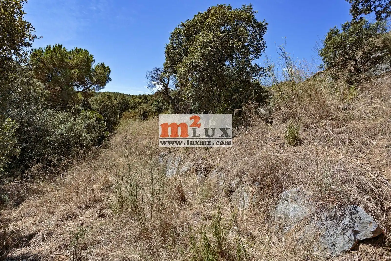 Terreny residencial en venda a Carrer Olivera, imagen 4