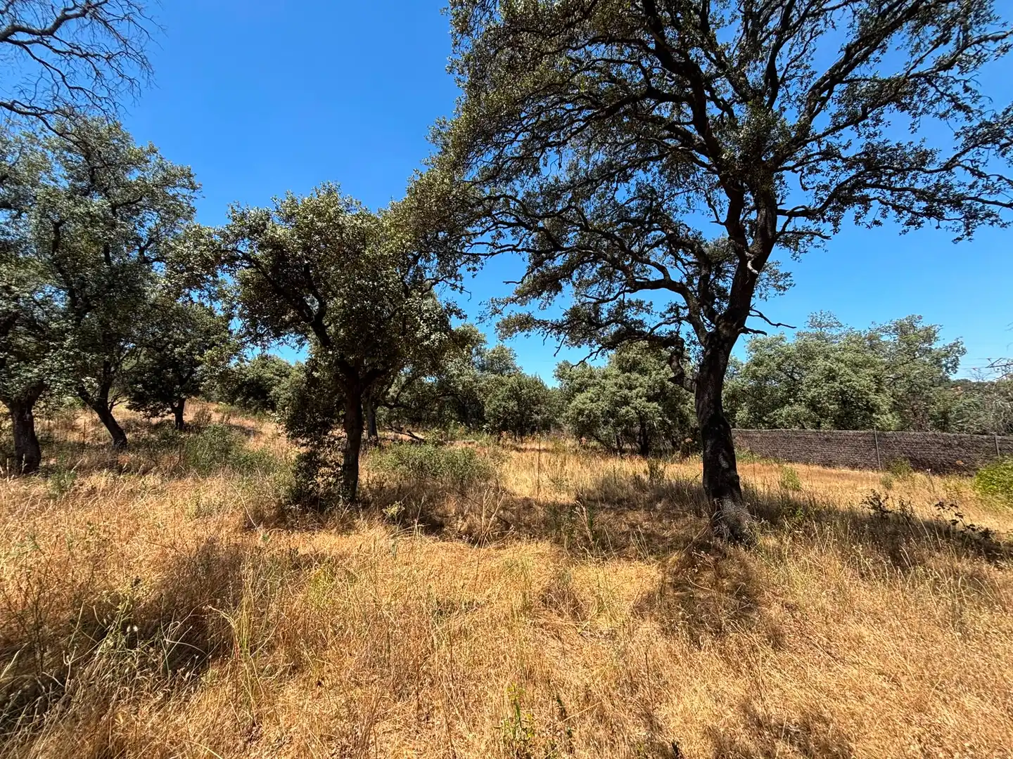 Residential land for sale in Paseo del Perú, imagen 20