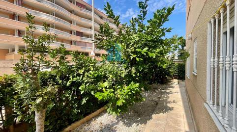 Photo 3 of Planta baja for sale in Daimús, Valencia