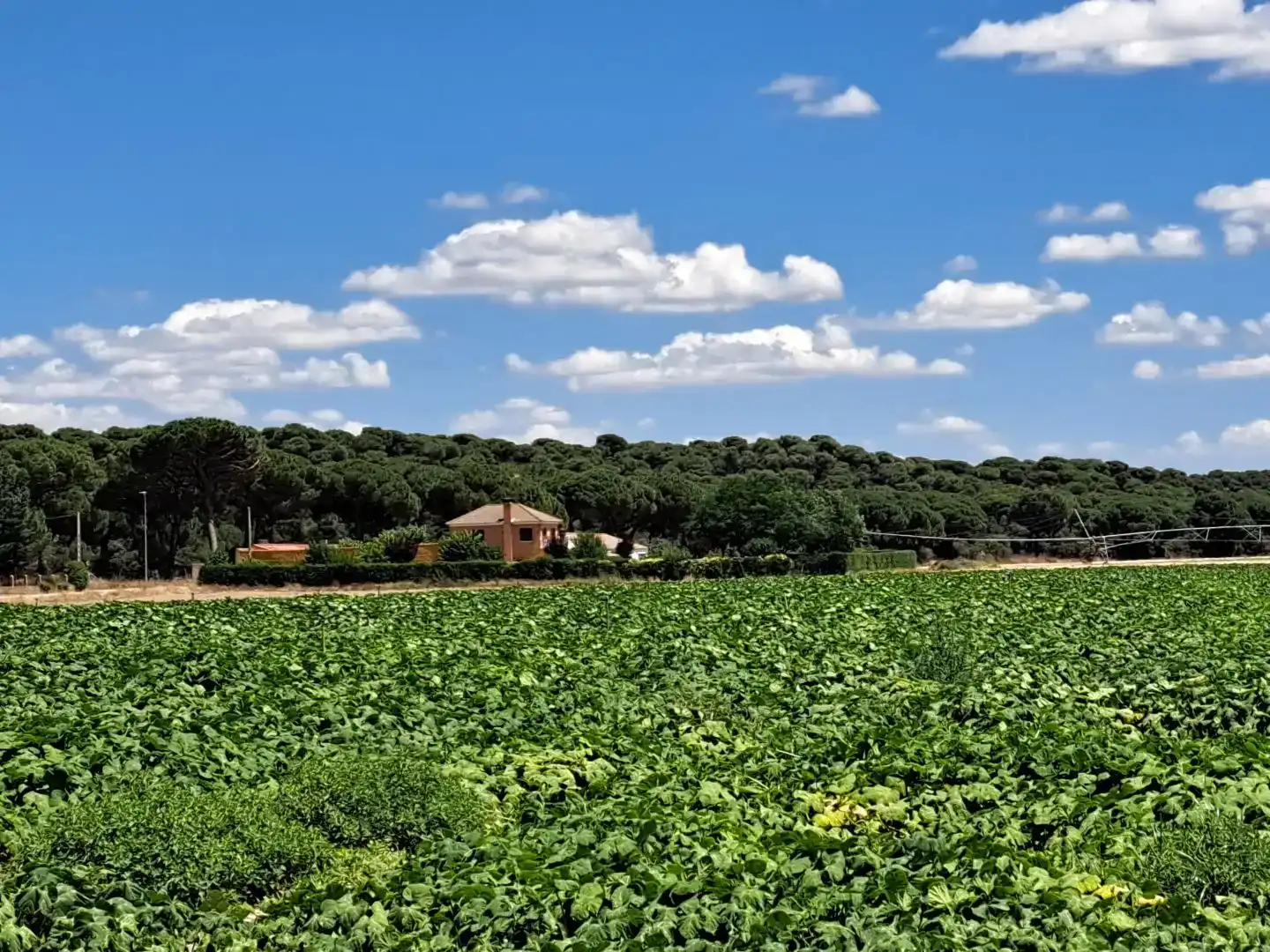 Pis en venda en Valladolid amb Jardí privat, Traster i Balcó
