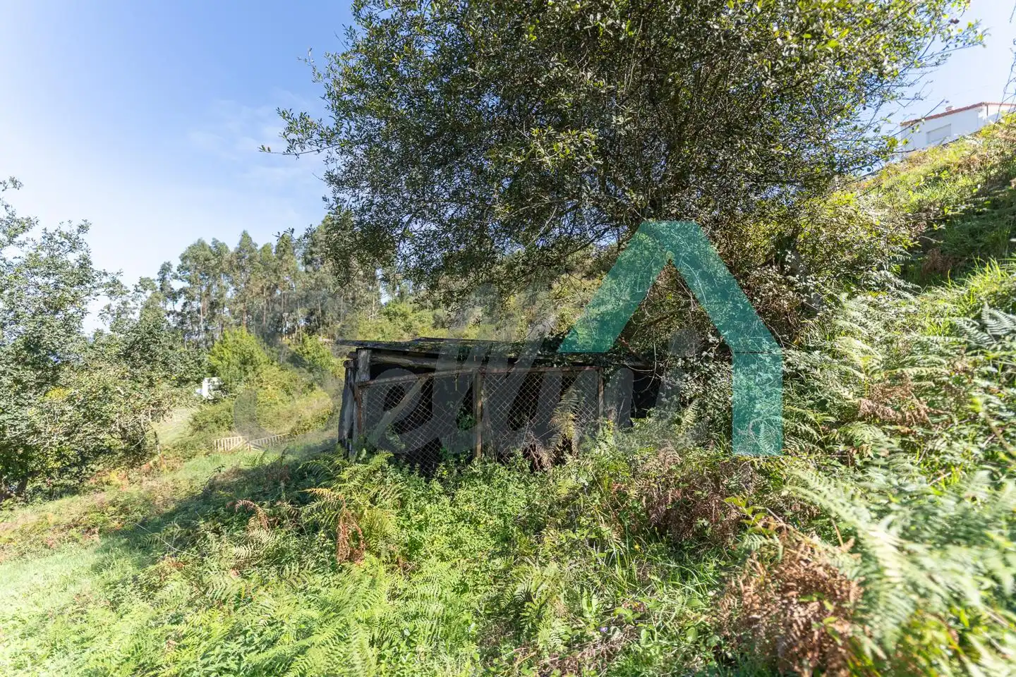 Terreno rustico in vendita a La Vega, imagen 48