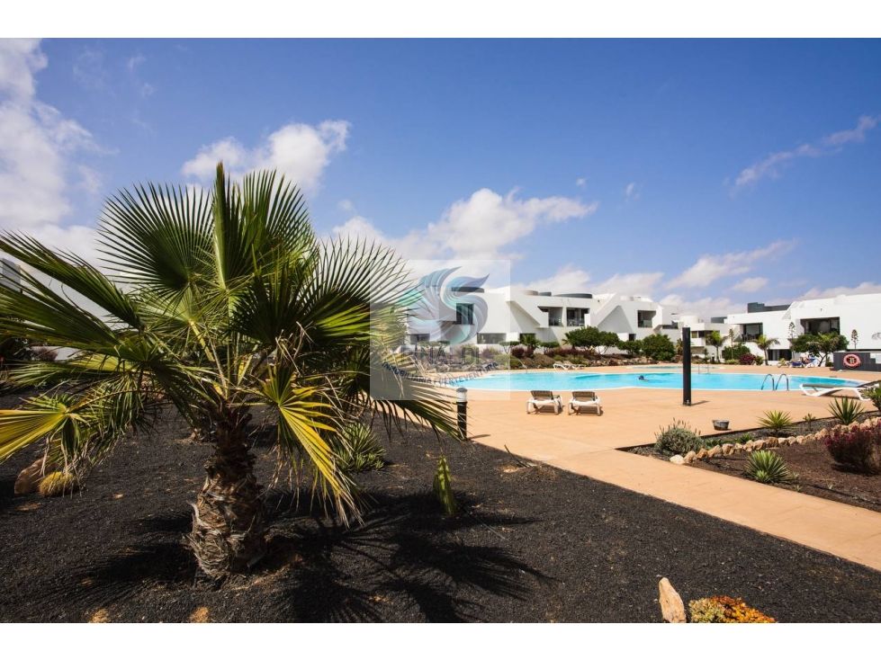 Vista exterior de Apartament en venda en La Oliva amb Calefacció, Terrassa i Piscina
