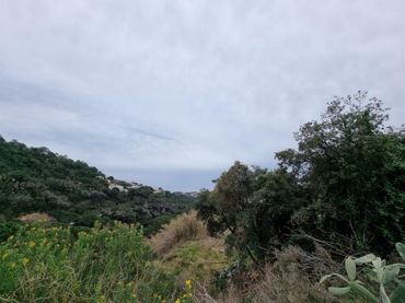 Terreni e lotti in vendita a Serra Brava
