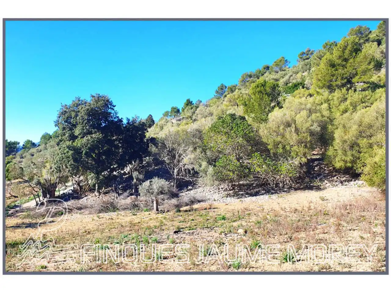 Finca rústica en venta en Mancor de la Vall con Jardín privado y Terraza