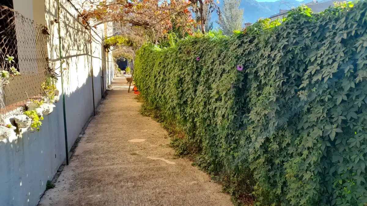 Terraced house with garden for sale in Sóller, imagen 31