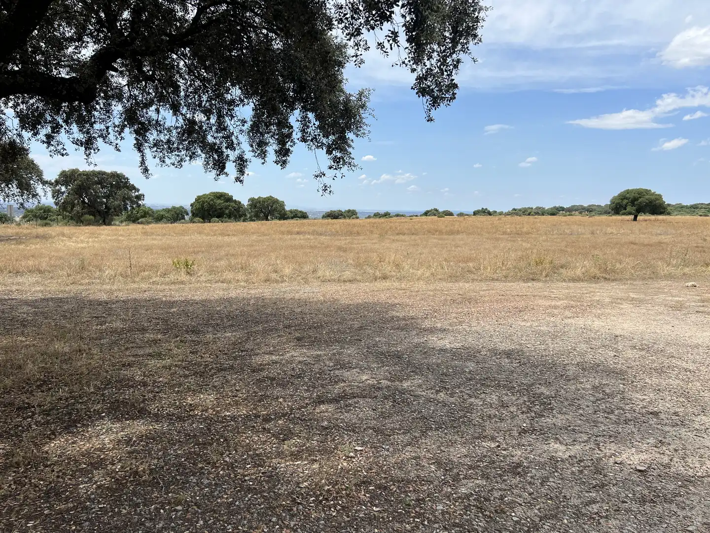 Land for sale in Calle Hernán Cortés, 20, Jaraicejo