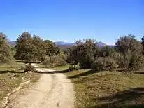 Vista exterior de Terreno en venta en Puebla del Maestre