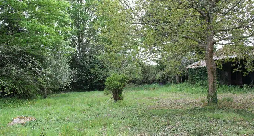 Finca rústica en venta en Santiago de Compostela 