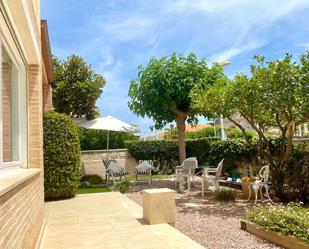 Jardí de Apartament per a compartir en Cullera amb Terrassa